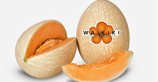 [933] Melón Waikiki