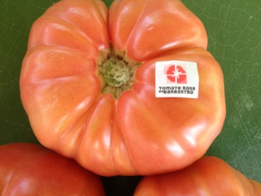 [893] TOMATE ROSA B