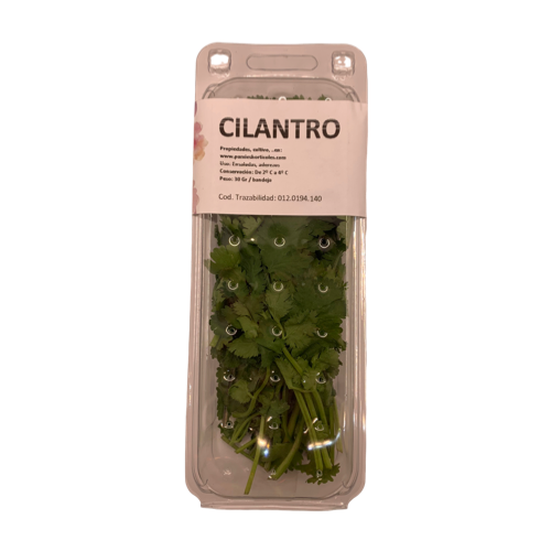 [172] Cilantro fresco bandeja
