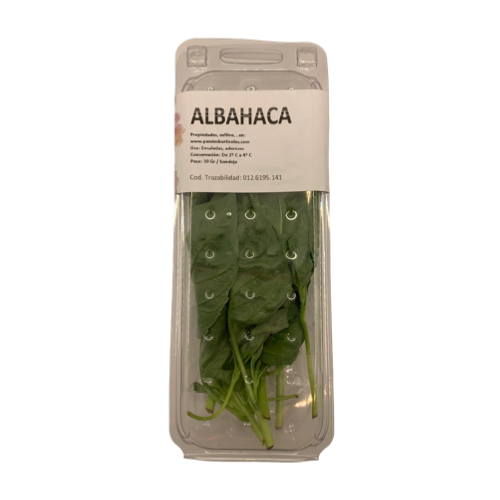 [169] Albahaca fresca bandeja