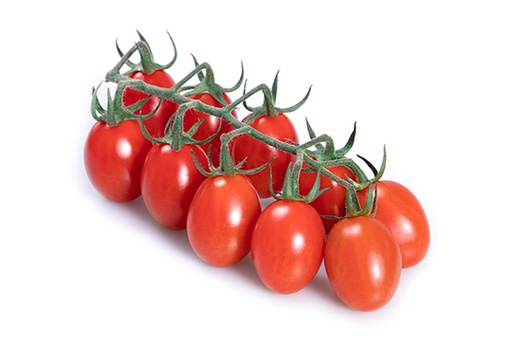 [106] Tomate Cherry Rama
