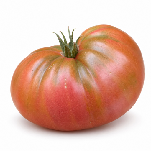 [105] Tomate Rosa extra
