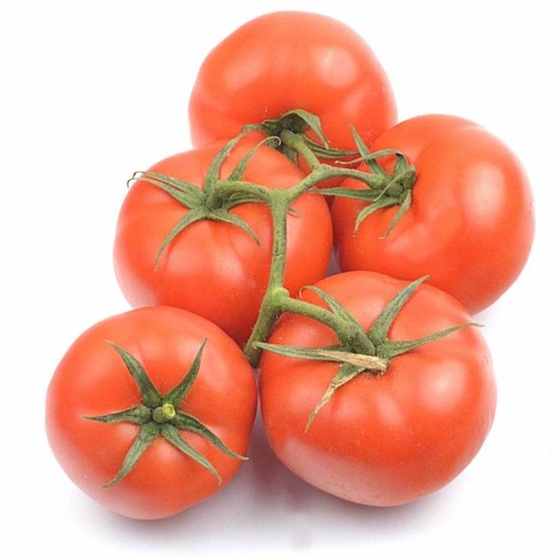 [100] Tomate de Rama extra