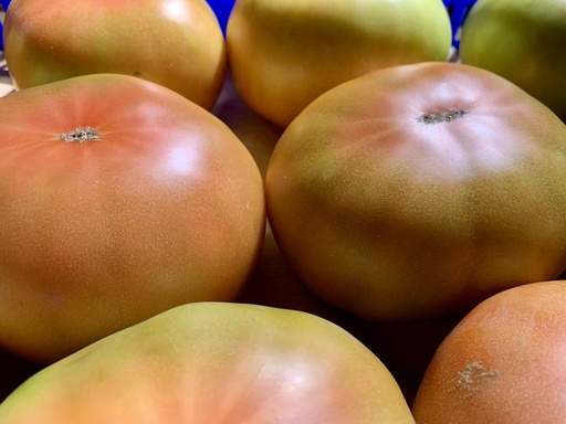 [98] Tomate Tip Top