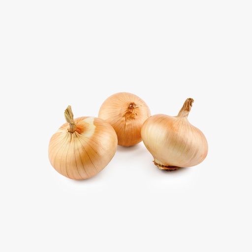 [D2300-2] Red Onion