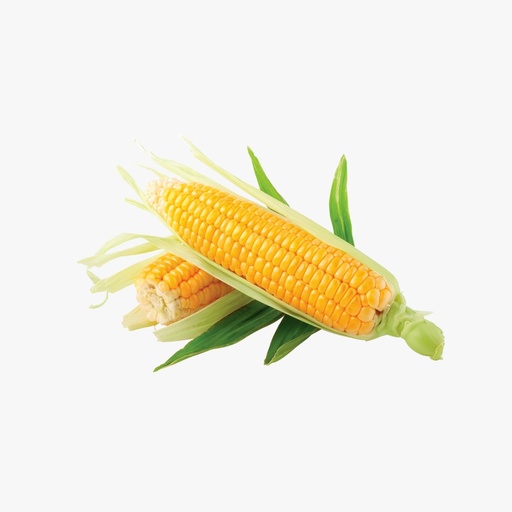 [D2300-1] Organic Corn