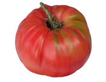 [4027] Tomate de Ensalada