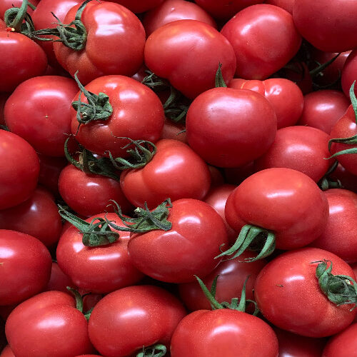 [3983] Tomate Sukapink Huerto