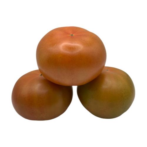 [3973] Tomate de Ensalada de Huerto - Verano