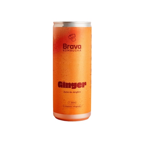 [3617] Kombucha Ginger